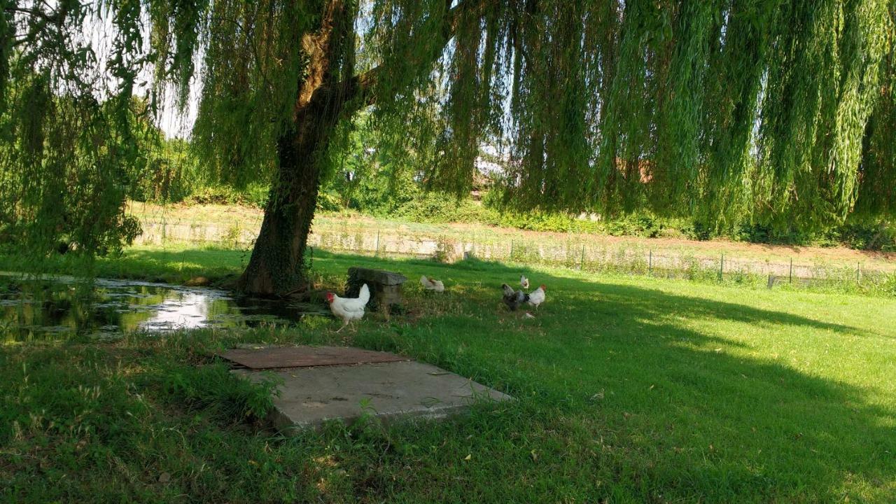 Agriturismo Cascina Poscallone Abbiategrasso Zewnętrze zdjęcie